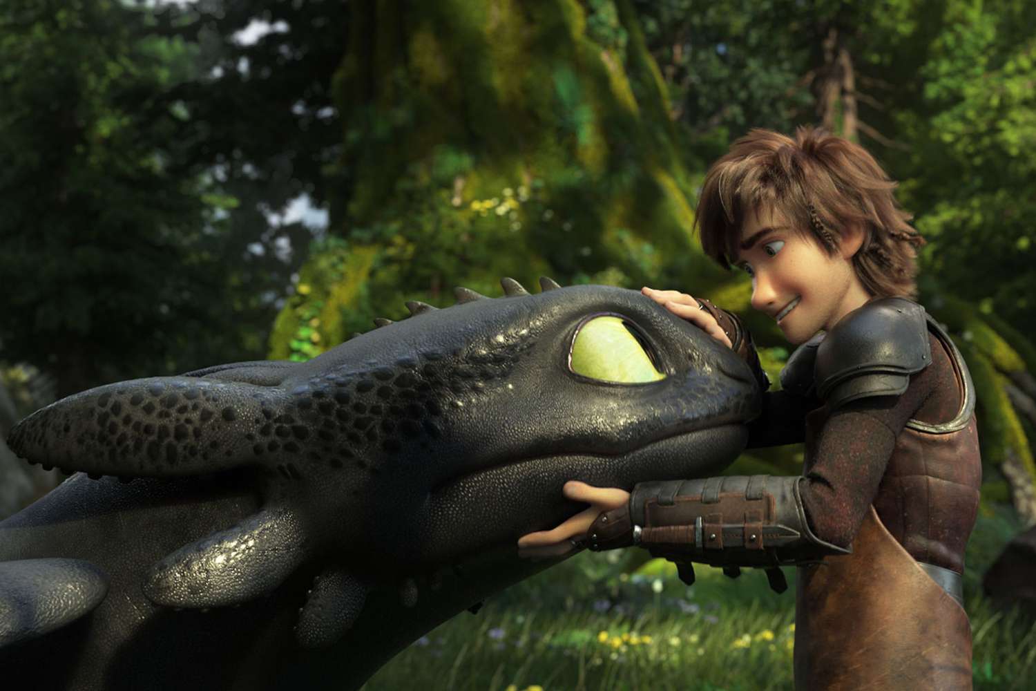 How to Train Your Dragon